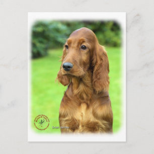 Irish Setter 9T004D-349 Briefkaart