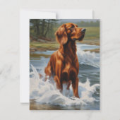 Irish Setter Bedankkaart (Voorkant)