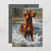 Irish Setter Bedankkaart (Voorkant / Achterkant)