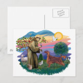 Irish Setter Briefkaart (Voorkant / Achterkant)