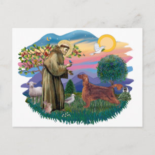 Irish Setter Briefkaart