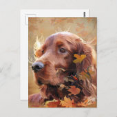 Irish Setter Briefkaart (Voorkant / Achterkant)