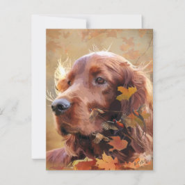 Irish Setter Briefkaart
