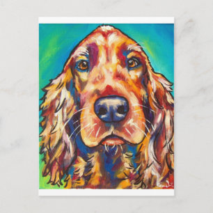 Irish Setter Briefkaart