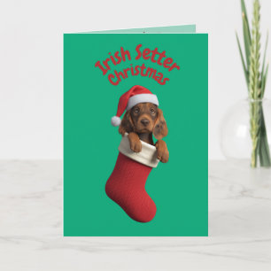 Irish Setter Christmas Stocking Kaart