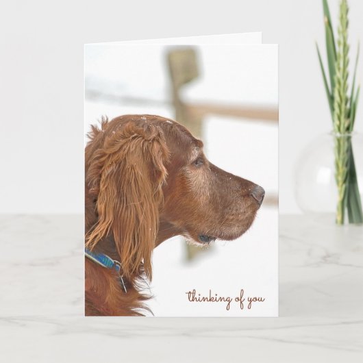 Irish Setter-denken van u Kaart (Voorkant)