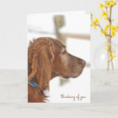 Irish Setter-denken van u Kaart (Gele Bloem)