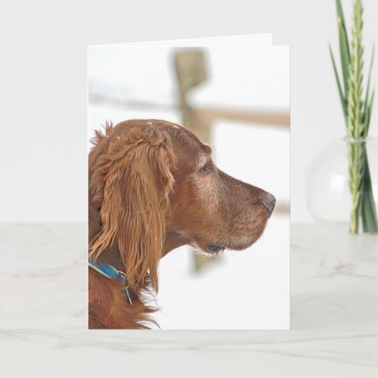 Irish Setter-denken van u Kaart (Voorkant)