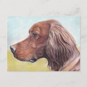 Irish Setter Dog Art Briefkaart