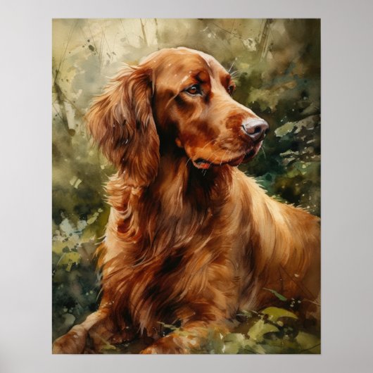 Irish Setter Dog Art Print Poster (Voorkant)