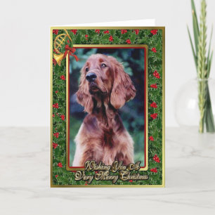 Irish Setter Dog Blank Christmas Kaart