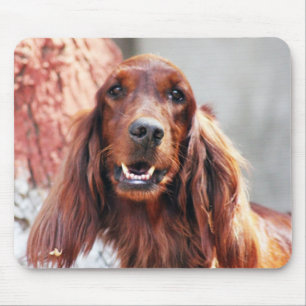 Irish Setter Dog Muismat
