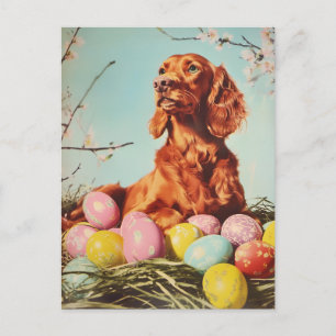 Irish Setter  Easter Briefkaart