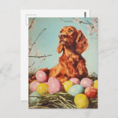 Irish Setter Easter Briefkaart (Voorkant / Achterkant)