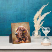 Irish Setter Fotoplaat (Insitu)