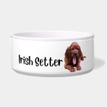Irish Setter - hondenkom per ras
