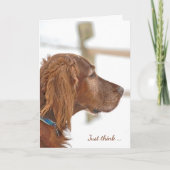 Irish Setter in sneeuw voor vriendschap Kaart (Voorkant)