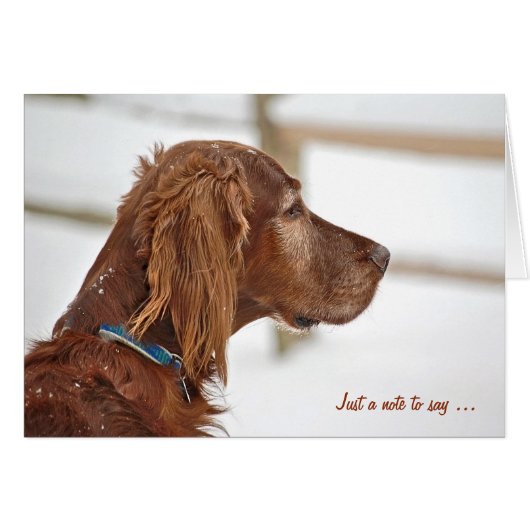 Irish Setter in winter denkt aan jou (Voorkant Horizontaal)