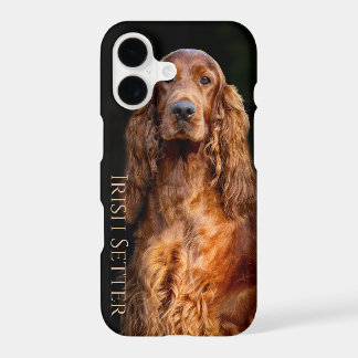 Irish Setter iPhone / iPad hoesje