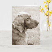 Irish Setter Kaart (Gele Bloem)