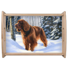 Irish Setter liet het sneeuwen Kerstmis