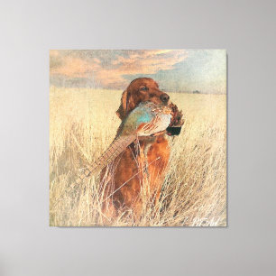 Irish Setter met fazant Canvas Afdruk