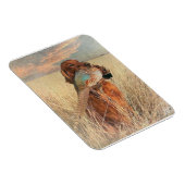 Irish Setter met fazant Magneet (Rechterzijde)