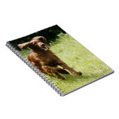 Irish Setter Notitieboek (Rechterzijde)