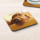 Irish Setter op sofa Bier Onderzetter (Linkerzijde)