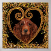 IRISH SETTER POSTER (Voorkant)