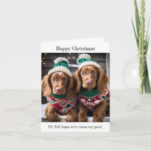 Irish Setter Puppies Kerst Kaart