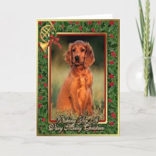 Irish Setter Puppy Dog Blank met kerstkaart Feestdagen Kaart
