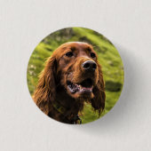 Irish Setter Ronde Button 3,2 Cm (Voorkant)