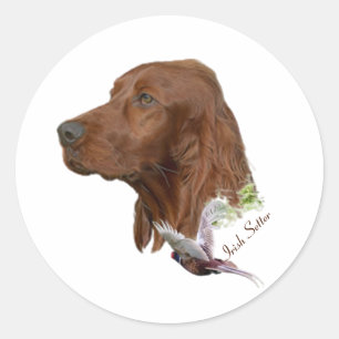 Irish Setter Ronde Sticker