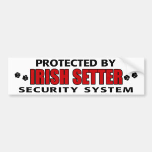Irish Setter Security Bumpersticker