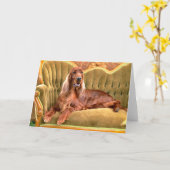 Irish Setter Sophie Kaart (Gele Bloem)