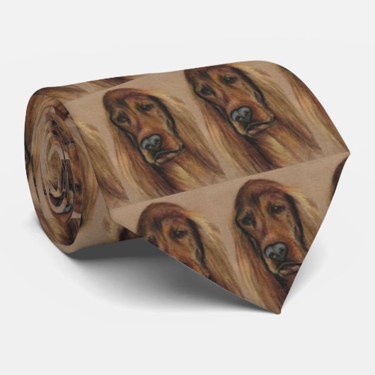 Irish Setter Stropdas (Opgerold)