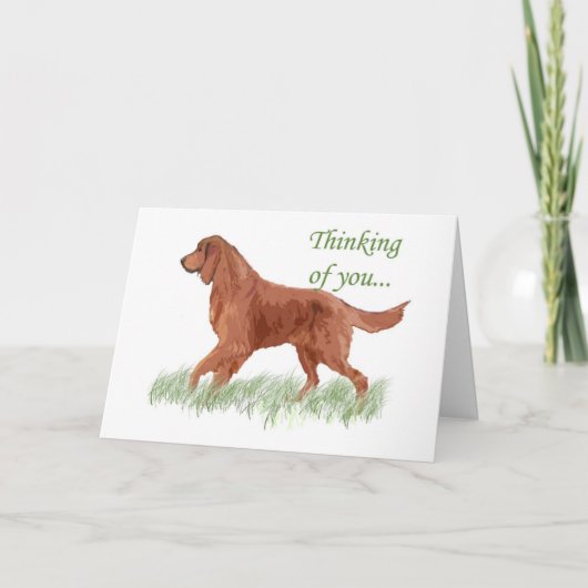 Irish Setter Sympathy-kaart Kaart (Voorkant)