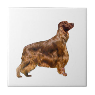 Irish Setter Tegeltje