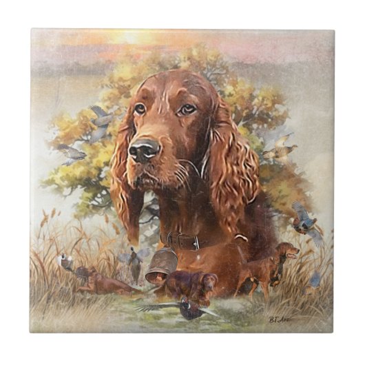Irish Setter Tegeltje (Voorkant)