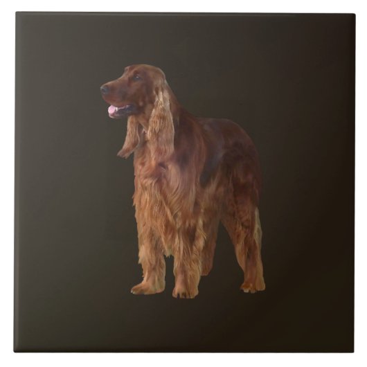 Irish Setter Tegeltje (Voorkant)