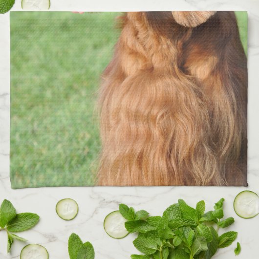 Irish Setter Theedoek (Gevouwen)