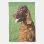 Irish Setter Theedoek (Verticaal)