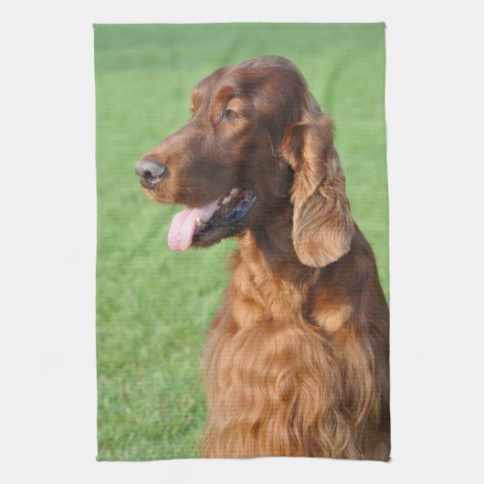 Irish Setter Theedoek (Verticaal)