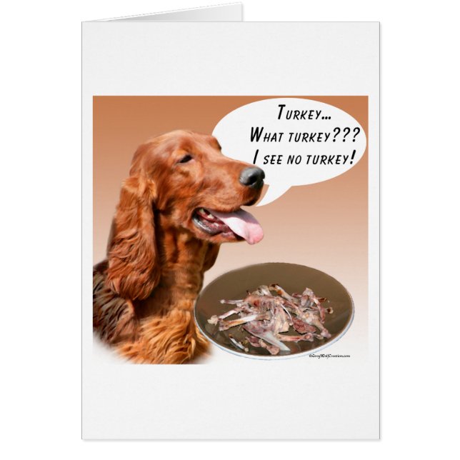 Irish Setter Turkije (Voorkant)