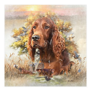 Irish Setter - Ultimate Upland Bird Dog Foto Afdruk