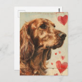 Irish setter  Valentijnsdag Briefkaart (Voorkant / Achterkant)