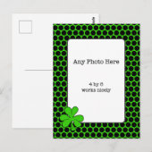 Irish Shamrock Photo Briefkaart (Voorkant / Achterkant)