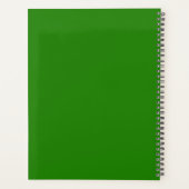 Irish Skeleton Clown Green (Dos)