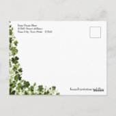 Irish Stylized Shamrock Leafy Foliage  Briefkaart (Achterkant)